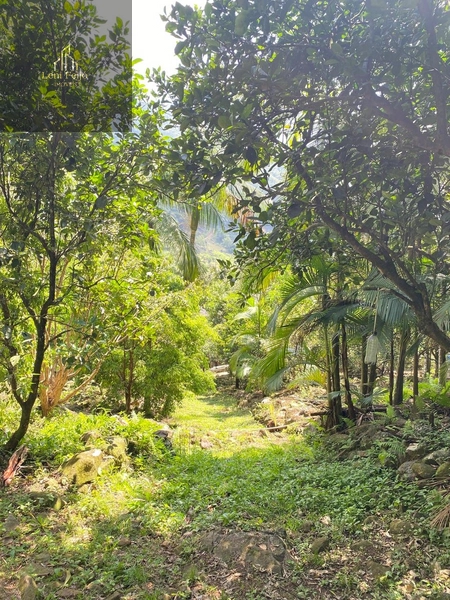 Linda Chácara à Venda no Interior – Seu Refúgio de Paz!: 12ª foto da galeria de imagens do imóvel