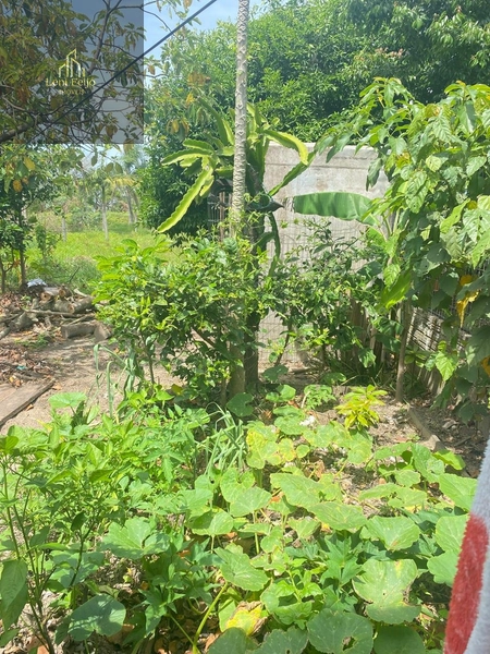 Oportunidade de negócio nesta linda casa.: 4ª foto da galeria de imagens do imóvel