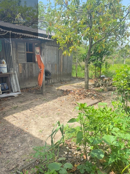 Oportunidade de negócio nesta linda casa.: 3ª foto da galeria de imagens do imóvel