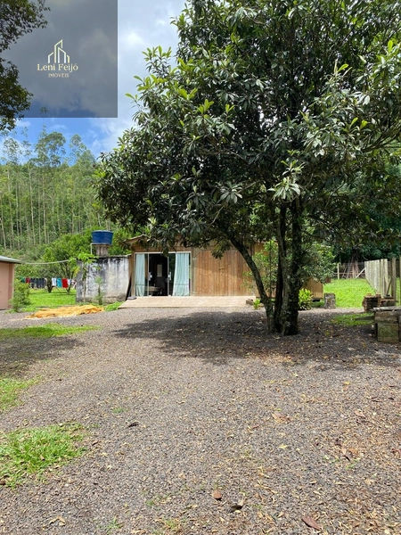 Vende-se Chácara com Duas Casas!: 26ª foto da galeria de imagens do imóvel
