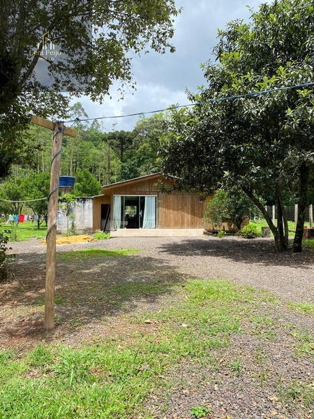 Vende-se Chácara com Duas Casas!: 22ª foto da galeria de imagens do imóvel
