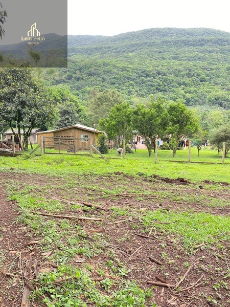Vende-se Chácara com Duas Casas!: 20ª foto da galeria de imagens do imóvel