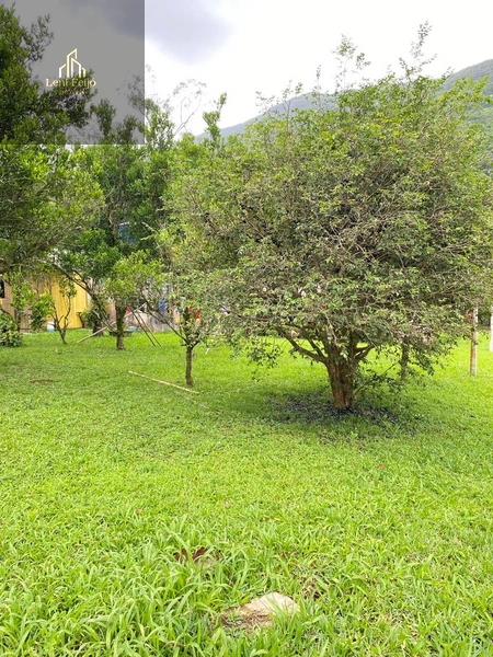 Vende-se Chácara com Duas Casas!: 12ª foto da galeria de imagens do imóvel