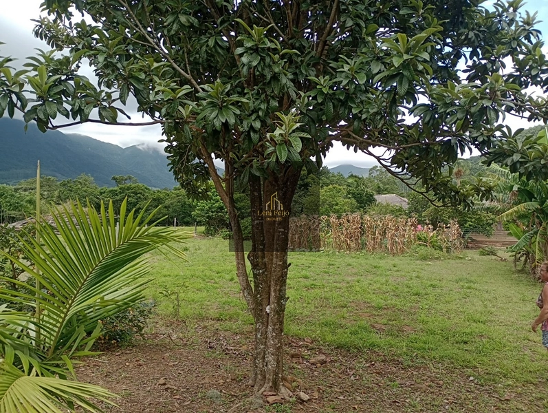 Recanto da Natureza no Morro do Chapéu: 33ª foto da galeria de imagens do imóvel