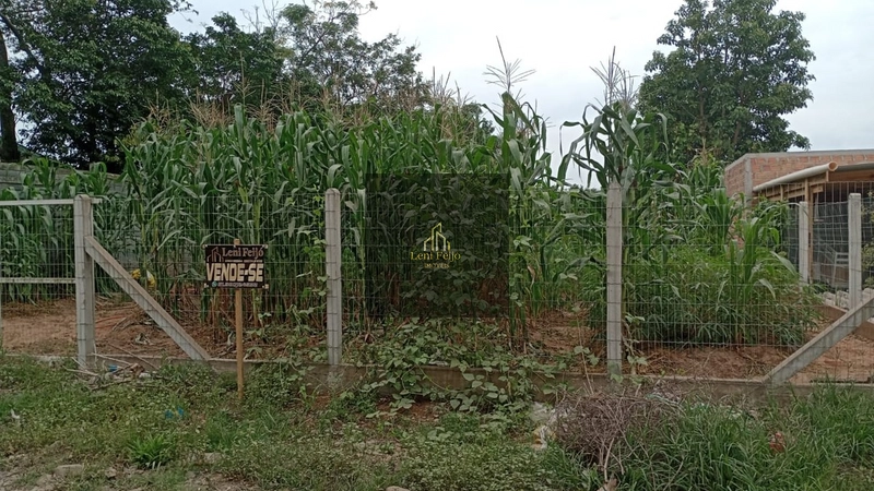 EXCELENTE LOTE RESIDENCIAL: 3ª foto da galeria de imagens do imóvel